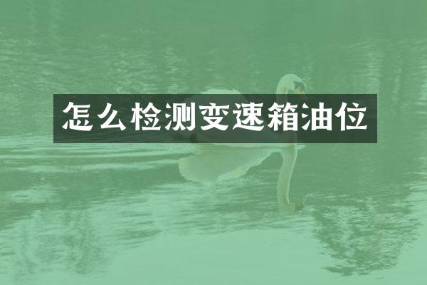 怎么检测变速箱油位