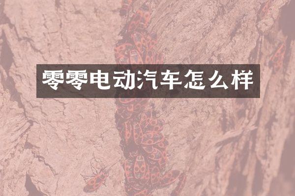 零零电动汽车怎么样