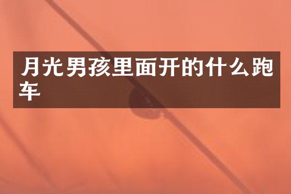 月光男孩里面开的什么跑车