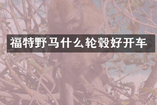 福特野马什么轮毂好开车