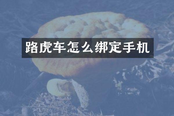 路虎车怎么绑定手机