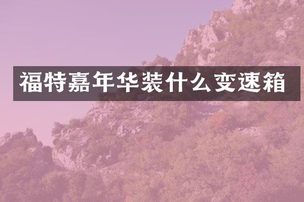 福特嘉年华装什么变速箱