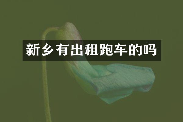 新乡有出租跑车的吗