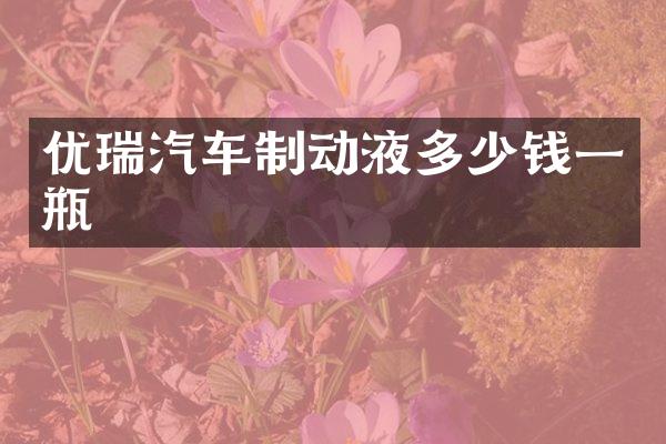 优瑞汽车制动液多少钱一瓶