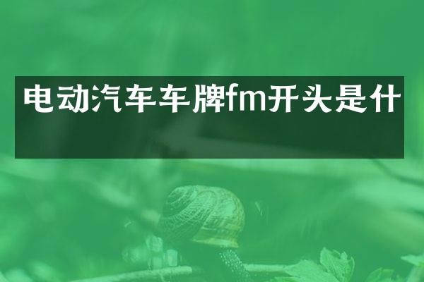 电动汽车车牌fm开头是什么
