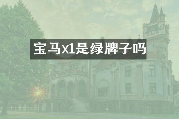 宝马x1是绿牌子吗