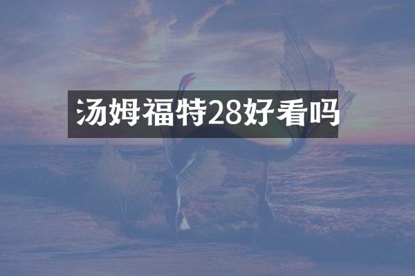 汤姆福特28好看吗