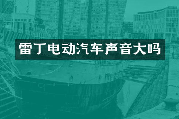 雷丁电动汽车声音大吗