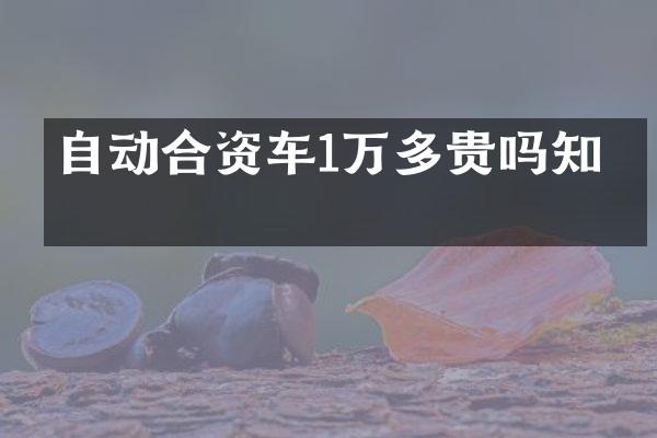 自动合资车1万多贵吗知乎