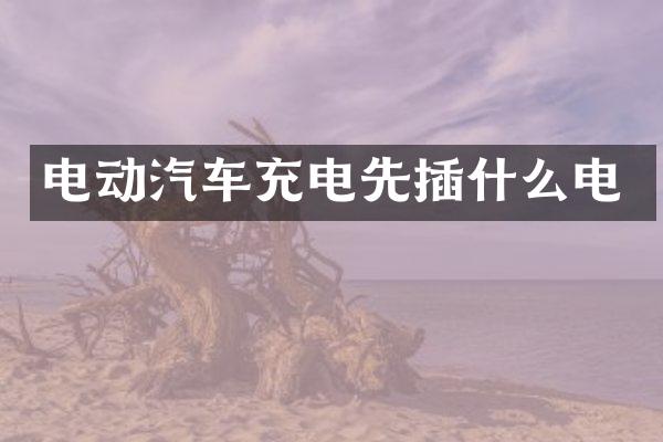 电动汽车充电先插什么电