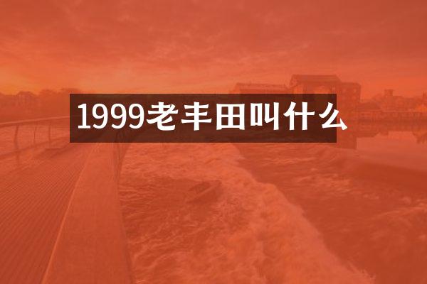 1999老丰田叫什么