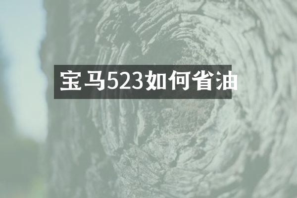宝马523如何省油