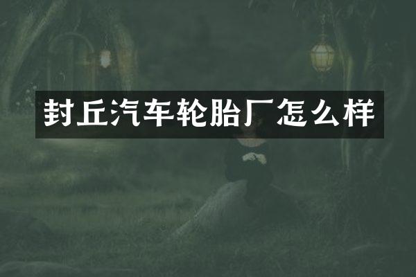 封丘汽车轮胎厂怎么样
