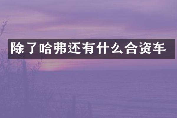 除了哈弗还有什么合资车