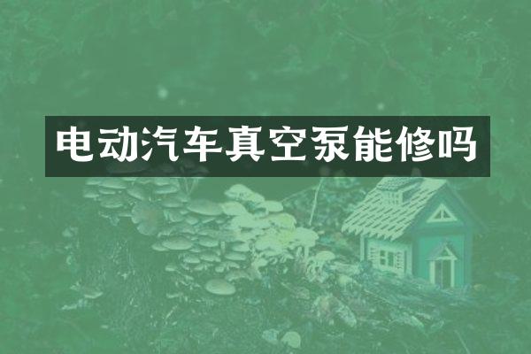 电动汽车真空泵能修吗