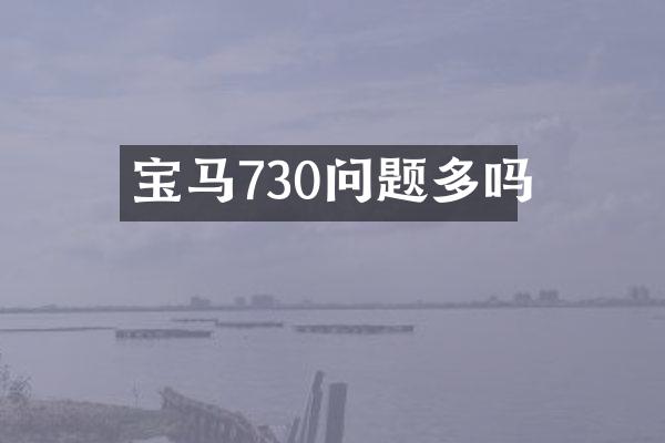 宝马730问题多吗