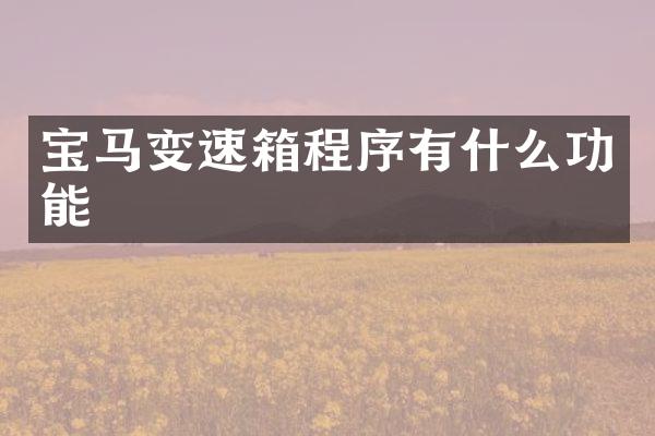 宝马变速箱程序有什么功能