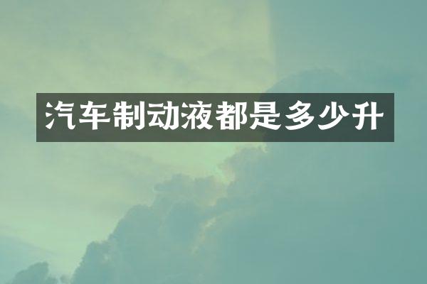汽车制动液都是多少升