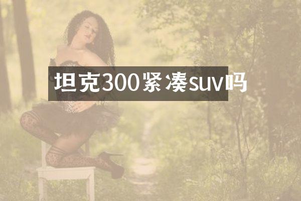 坦克300紧凑suv吗