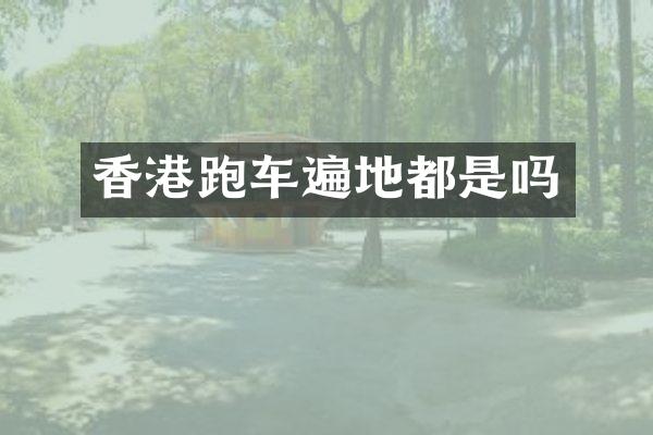 香港跑车遍地都是吗
