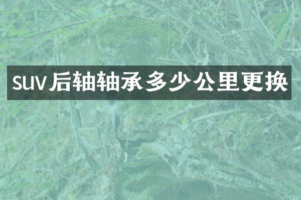 suv后轴轴承多少公里更换