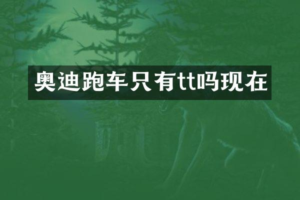 奥迪跑车只有tt吗现在