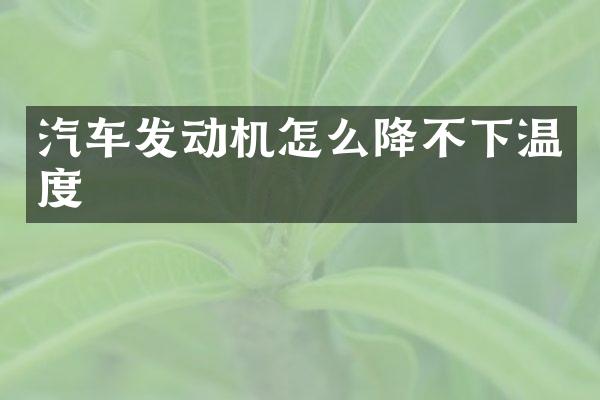 汽车发动机怎么降不下温度
