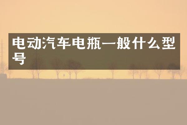 电动汽车电瓶一般什么型号