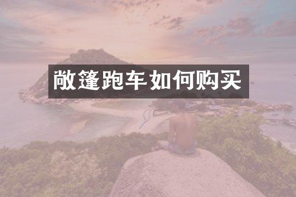 敞篷跑车如何购买