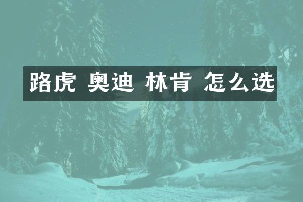 路虎 奥迪 林肯 怎么选