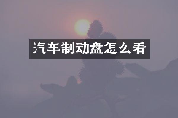 汽车制动盘怎么看