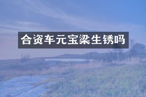 合资车元宝梁生锈吗