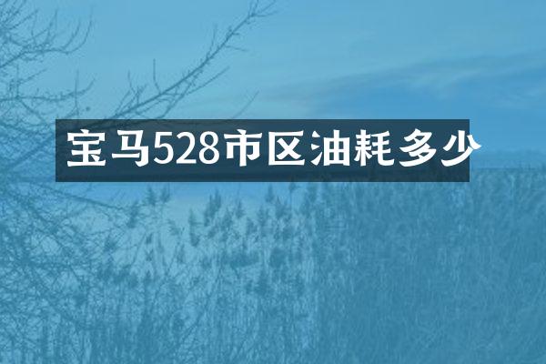 宝马528市区油耗多少