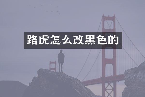 路虎怎么改黑色的
