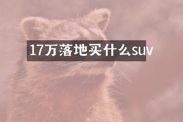17万落地suv