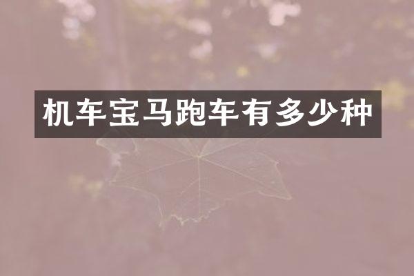 机车宝马跑车有多少种