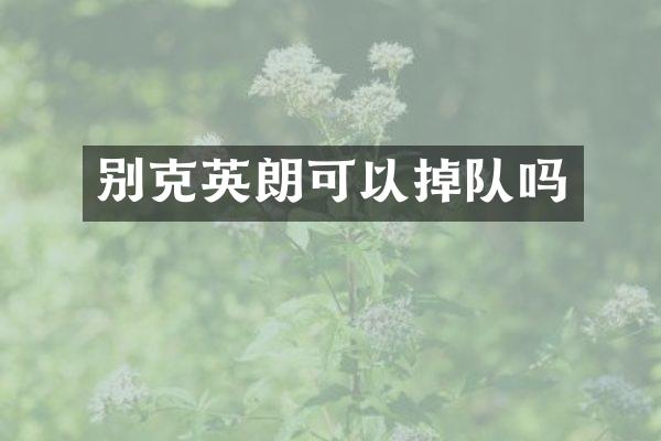别克英朗可以掉队吗