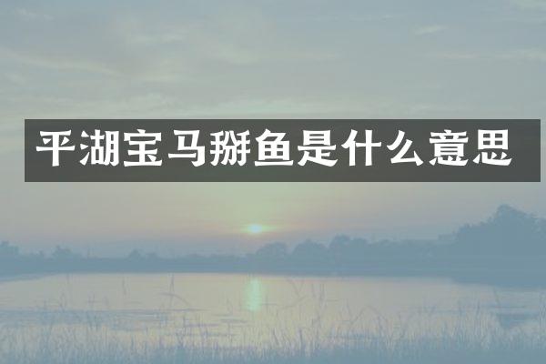 平湖宝马掰鱼是什么意思