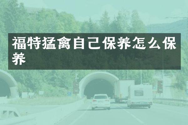 福特猛禽自己保养怎么保养