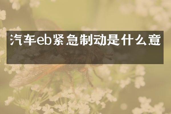 汽车eb紧急制动是什么意思