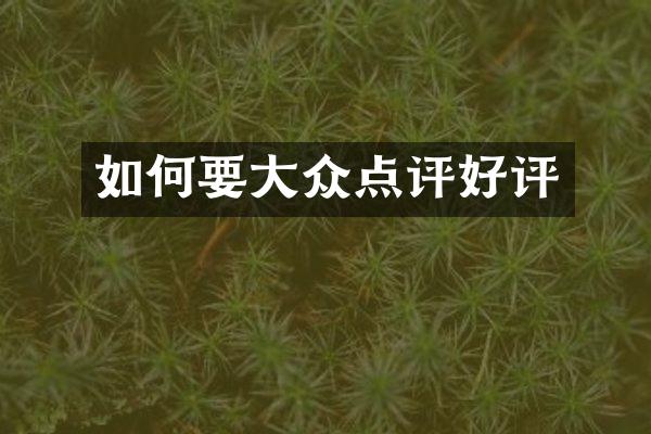 如何要大众点评好评