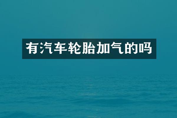 有汽车轮胎加气的吗
