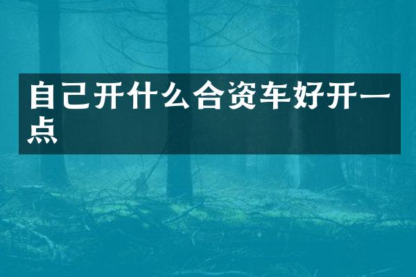 自己开什么合资车好开一点