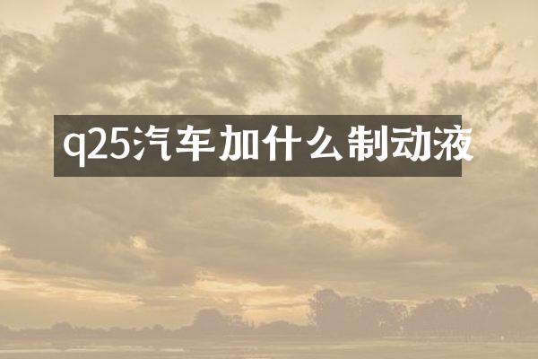q25汽车加什么制动液