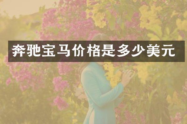 奔驰宝马价格是多少美元