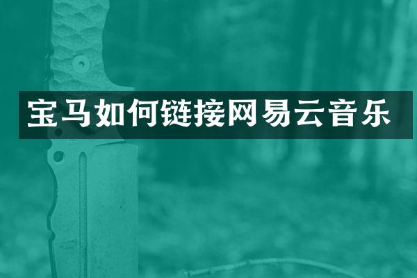宝马如何链接网易云音乐