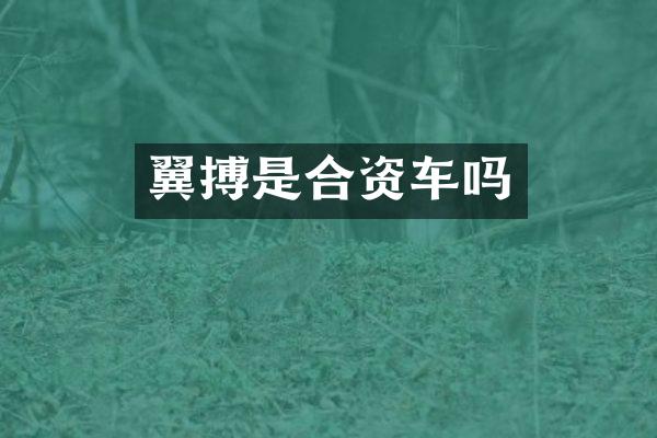 翼搏是合资车吗