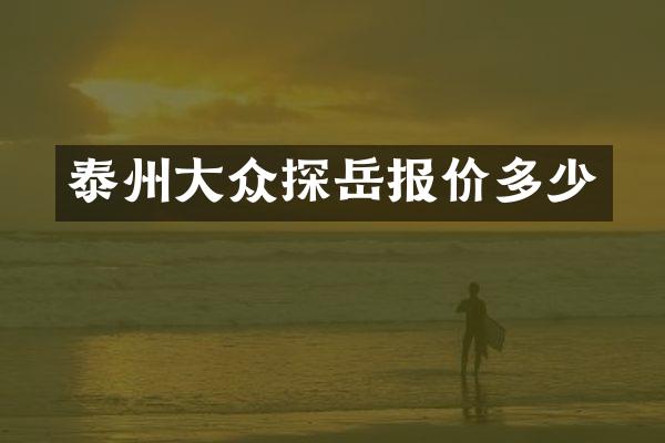 泰州大众探岳报价多少