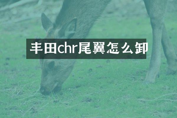 丰田chr尾翼怎么卸