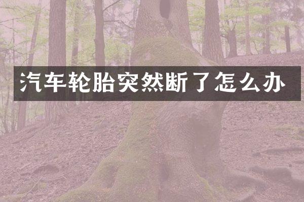 汽车轮胎突然断了怎么办